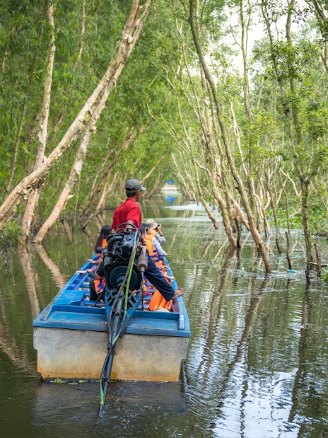 Motorboat navigating through lush trees in Mekong Delta.