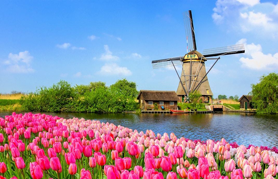 amsterdam tulip festival