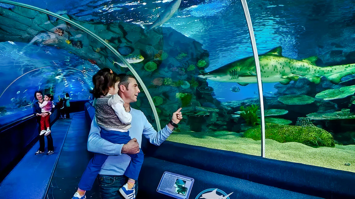 Istanbul Aquarium
