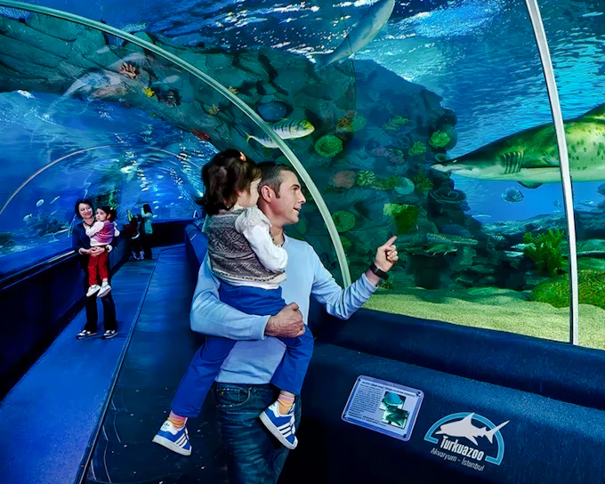 Istanbul Aquarium Skip-the-Line Tickets with Round-Trip Shuttle from Sultanahmet