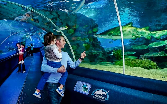 schnelleinlass-tickets für das istanbul aquarium inklusive shuttle-transfer (hin- und rückfahrt) ab sultanahmet-1