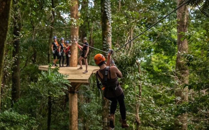 Person ziplining through Daintree Rainforest with group on platform in background.