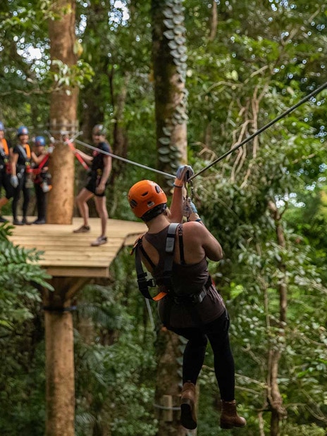 Person ziplining through Daintree Rainforest with group on platform in background.