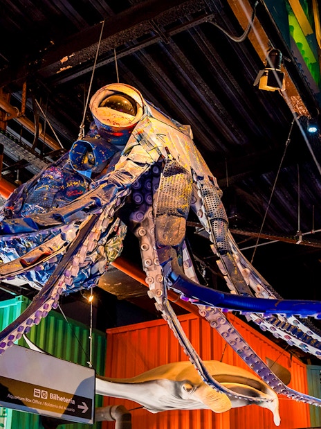 Octopus sculpture hanging inside AquaRio aquarium in Rio de Janeiro.