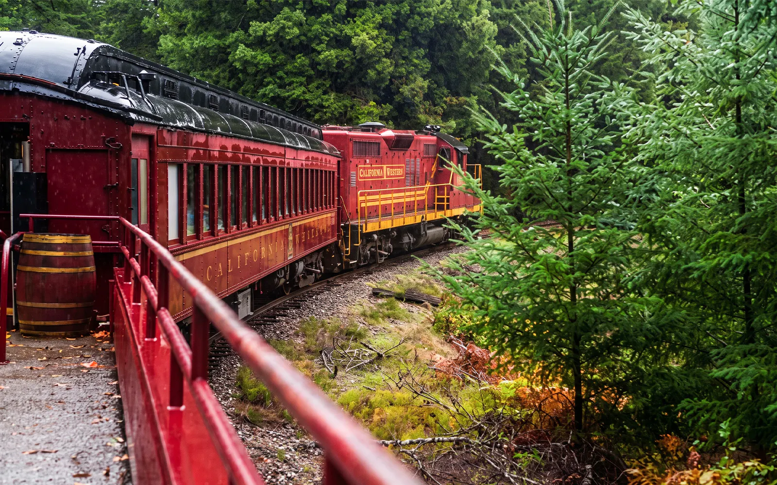 Skunk Train From Willits: Wolf Tree Turn Train Tickets