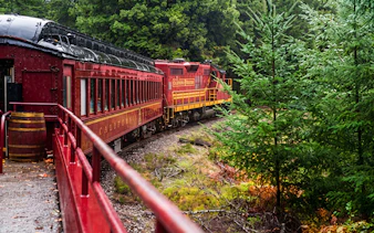 Historic train rounding a bend on Willits' Wolf Tree Turn tour through lush forest.