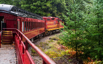 Historic train rounding a bend on Willits' Wolf Tree Turn tour through lush forest.