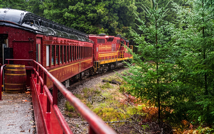 Historic train rounding a bend on Willits' Wolf Tree Turn tour through lush forest.