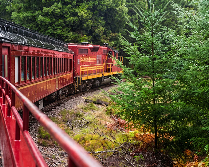 Skunk Train From Willits: Wolf Tree Turn Train Tickets
