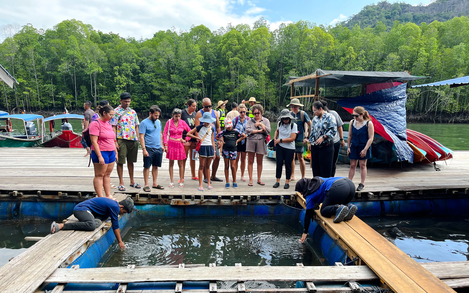 Kilim Geoforest Park Mangrove Boat Tour with Lunch and Hotel Transfers (Product 54401)