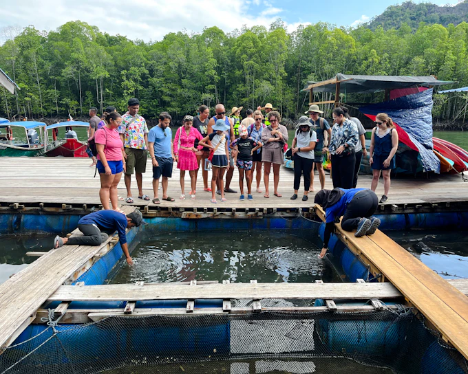 Kilim Geoforest Park Mangrove Boat Tour with Lunch and Hotel Transfers (Product 54401)