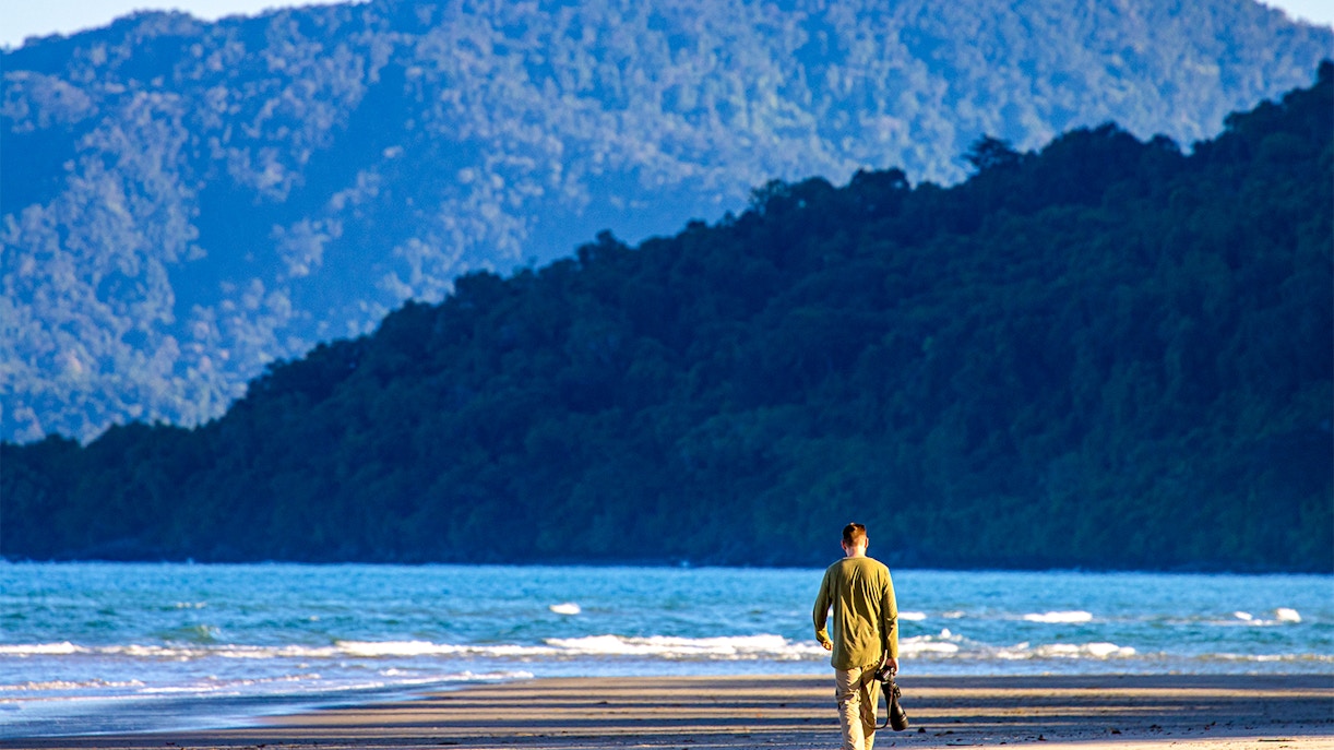 Daintree National Park