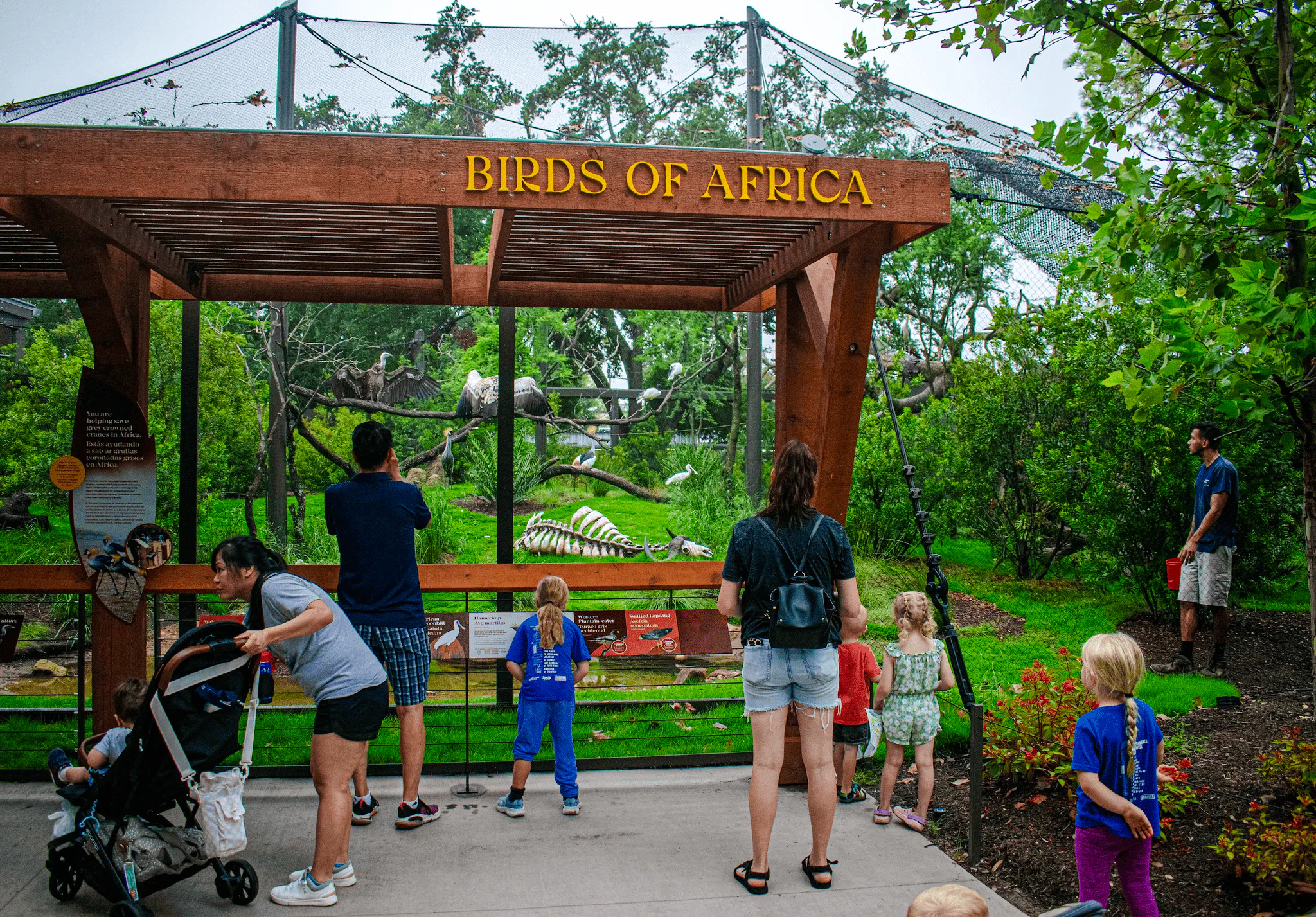 Visitors observing African birds exhibit at Houston Zoo.