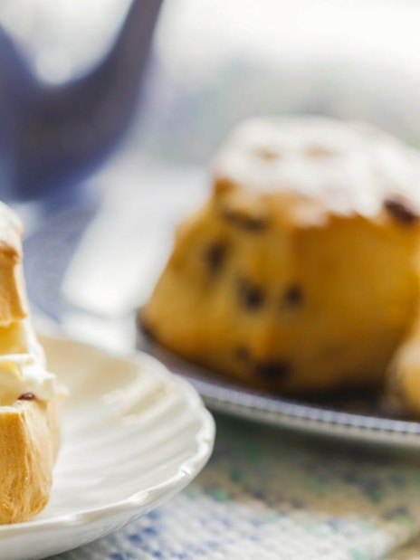 Scone with cream and jam served on a plate, part of a London Lake District day tour.
