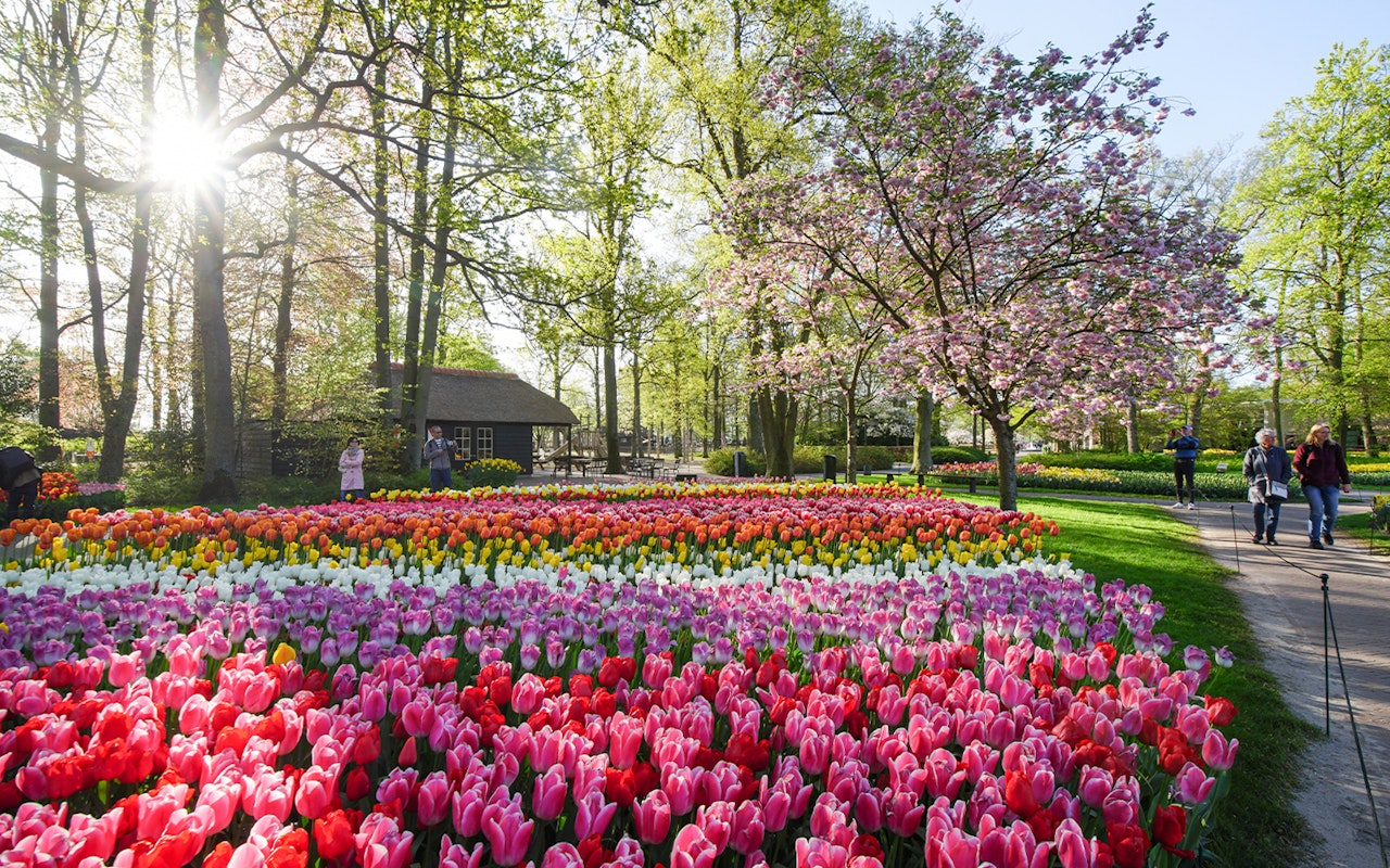 Biglietti per Keukenhof — 6