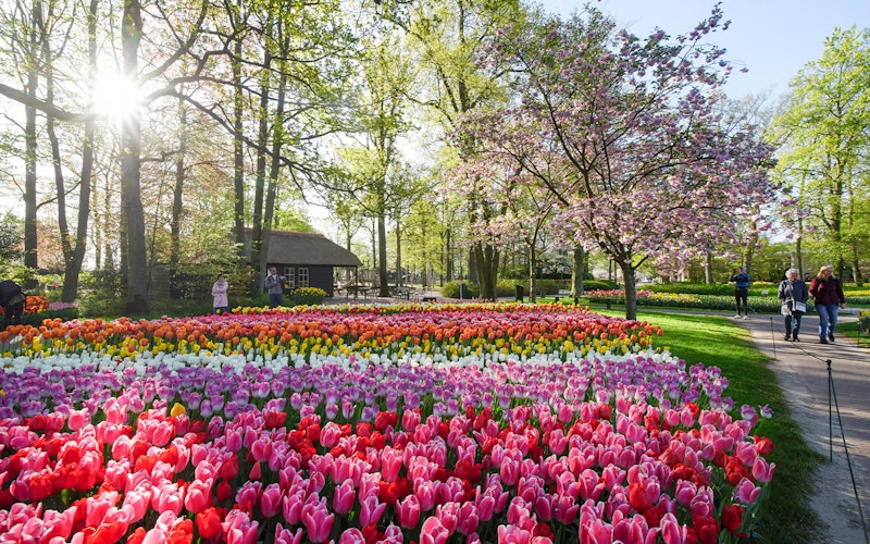 Keukenhof Entry Tickets — gallery 5