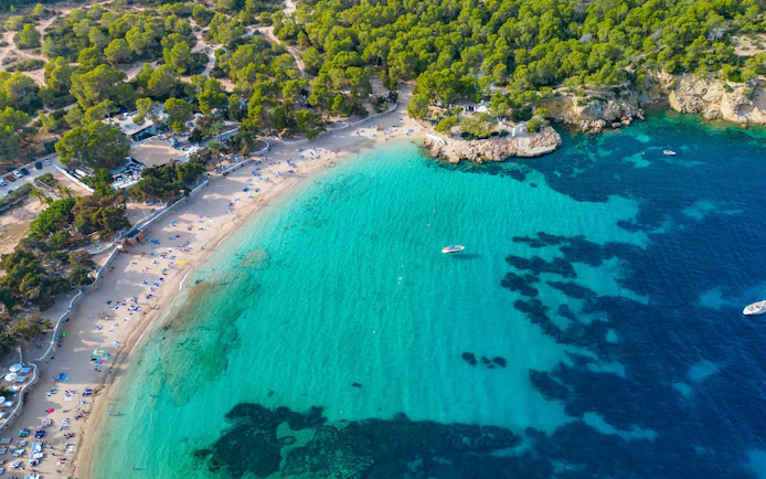Aerial view of Cala Bassa beach with turquoise waters and surrounding greenery in Ibiza, Spain.