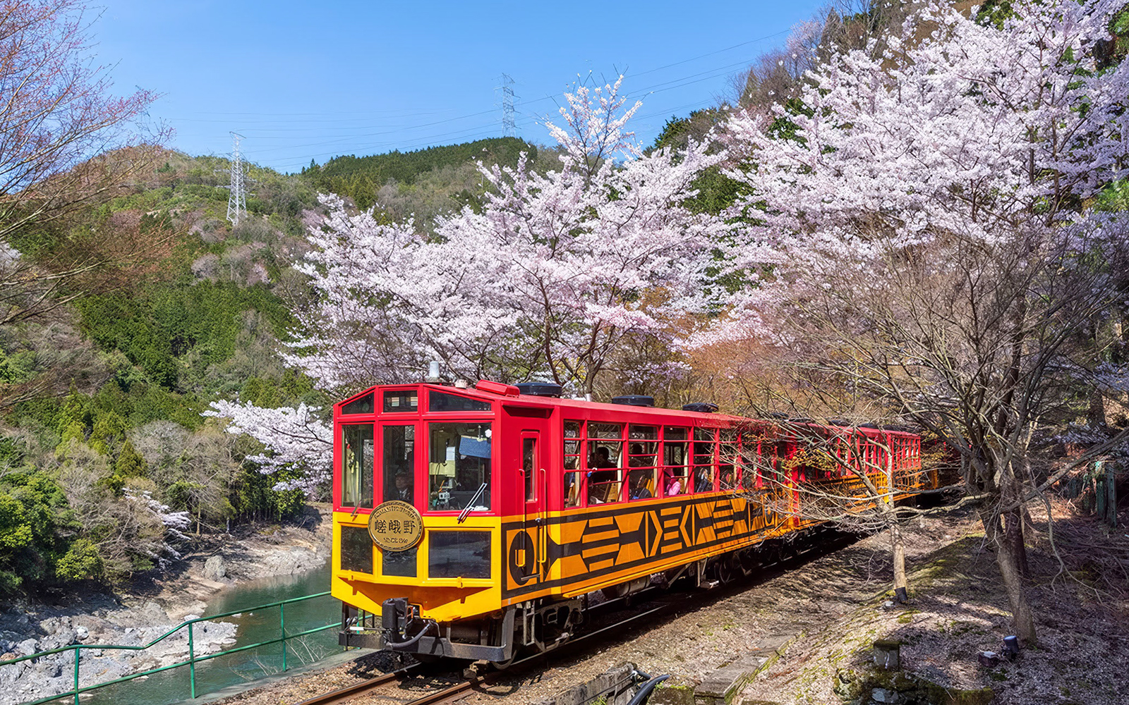 Sagano Romantic Train passing cherry blossoms in Kyoto, Japan.
