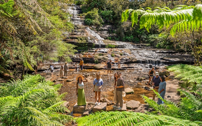 Visitors exploring a waterfall in the Blue Mountains, surrounded by lush greenery.