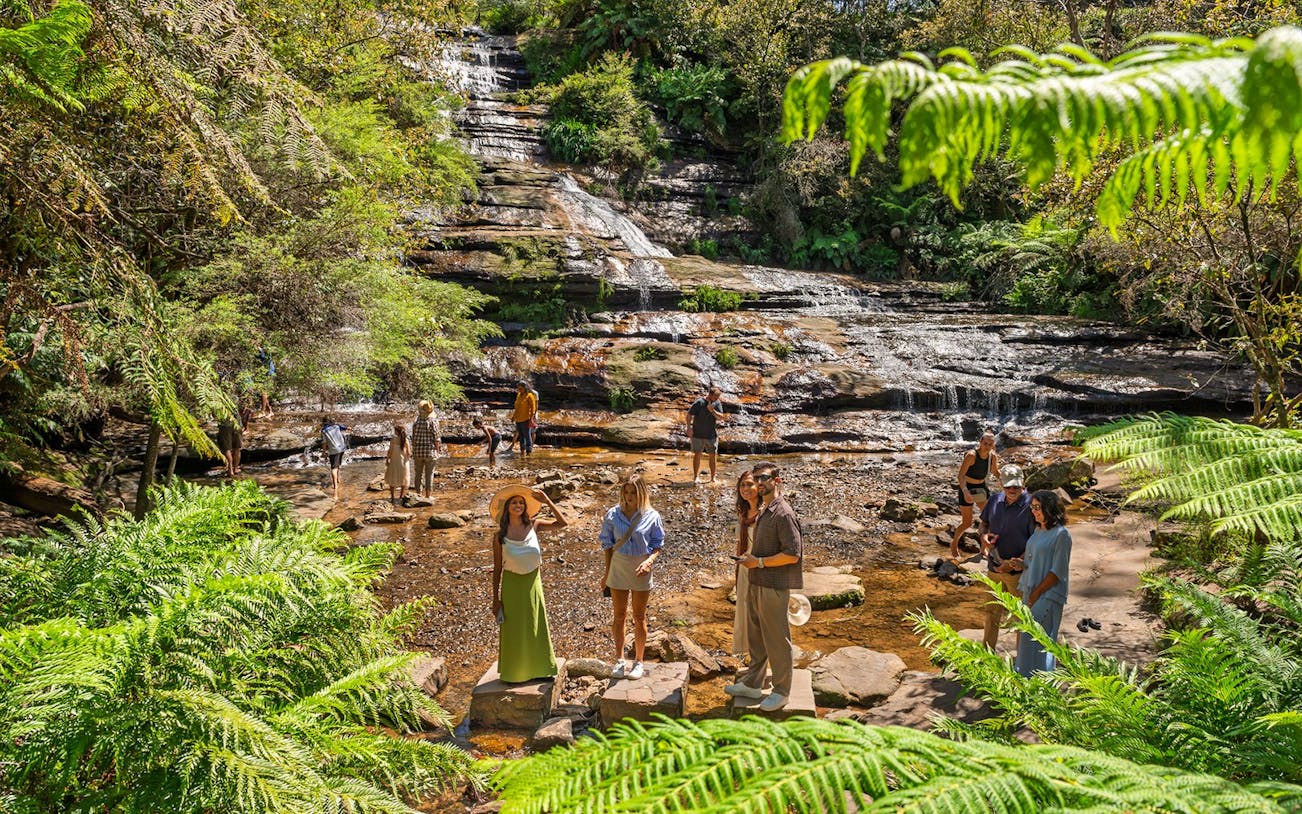 Visitors exploring a waterfall in the Blue Mountains, surrounded by lush greenery.