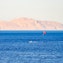 Red Sea – En route to Tiran Island
