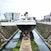 SS Nomadic
