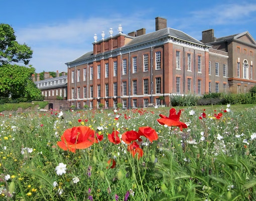 Wildflowers in bloom at Kensington Palace Gardens, London, with the palace in the background.