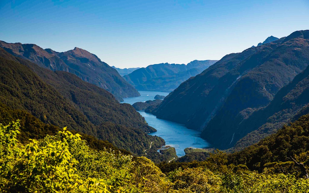 Doubtful Sound view from Wilmot Pass with lush green hills and winding waterway.