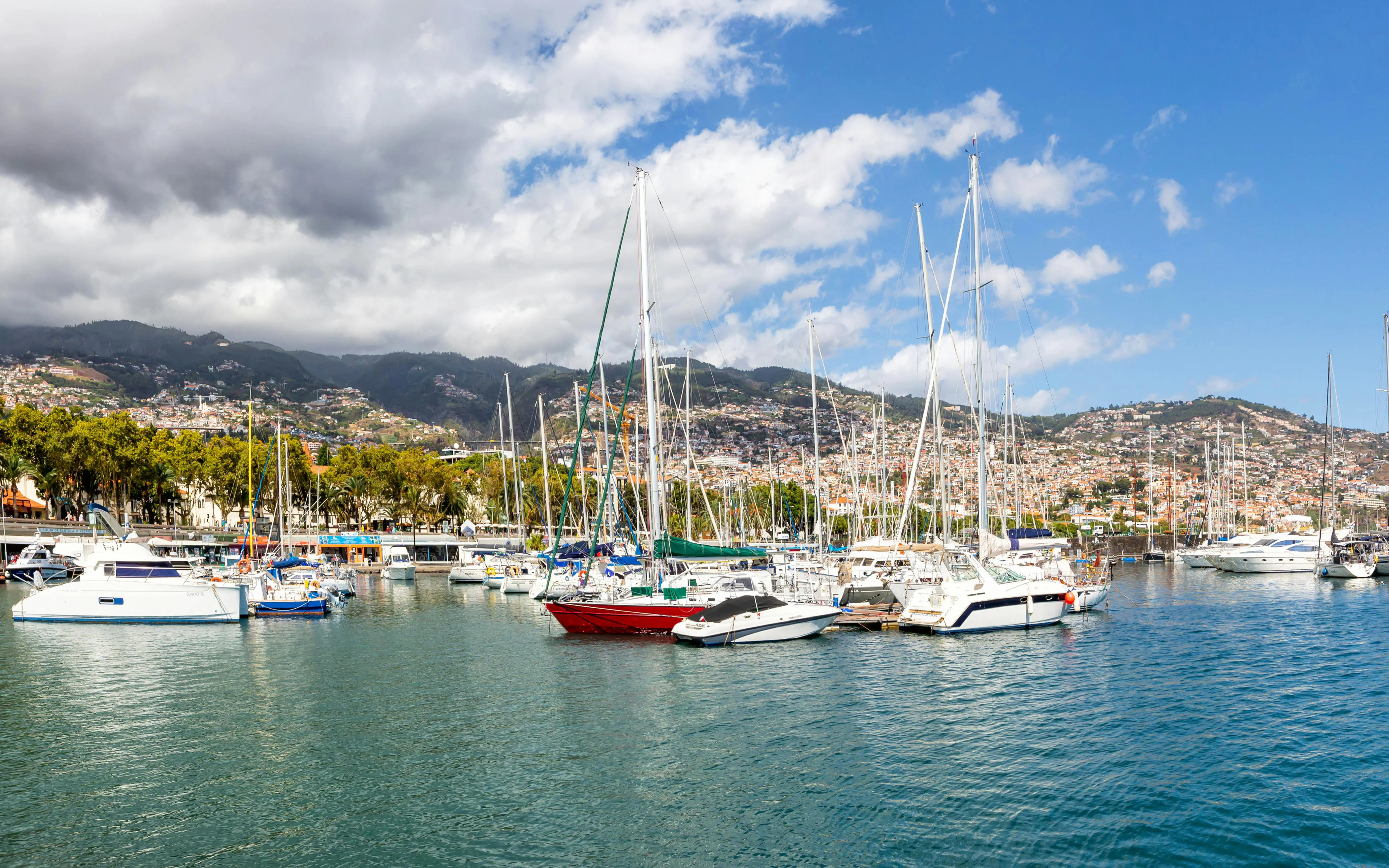 Sailboats docked at Funchal Marina with Madeira Island hills in the background, Portugal.