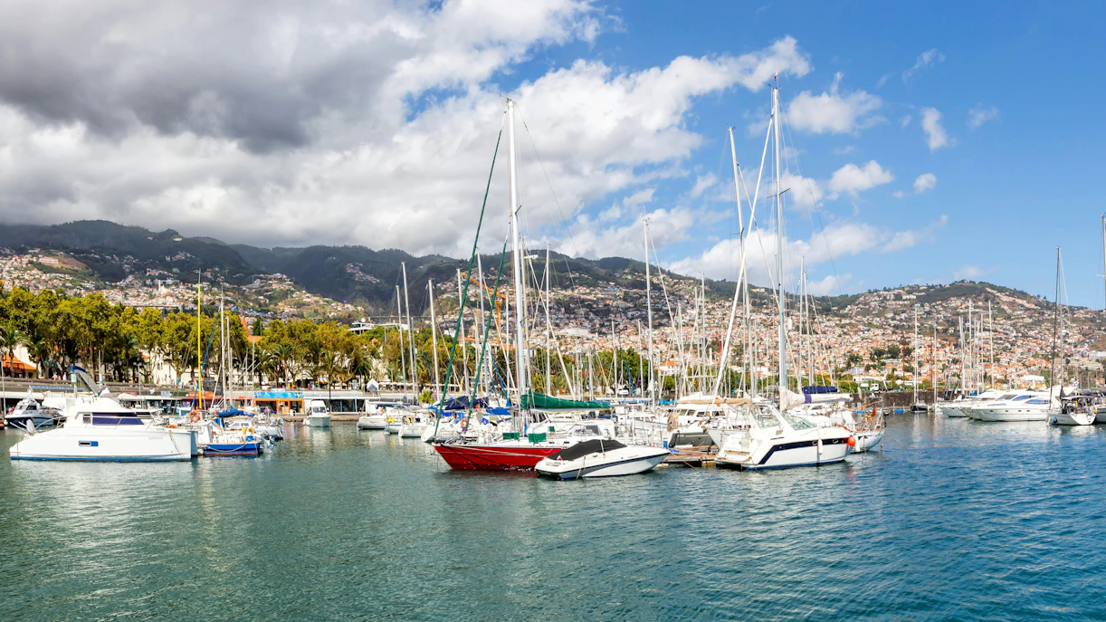 Sailboats docked at Funchal Marina with Madeira Island hills in the background, Portugal.