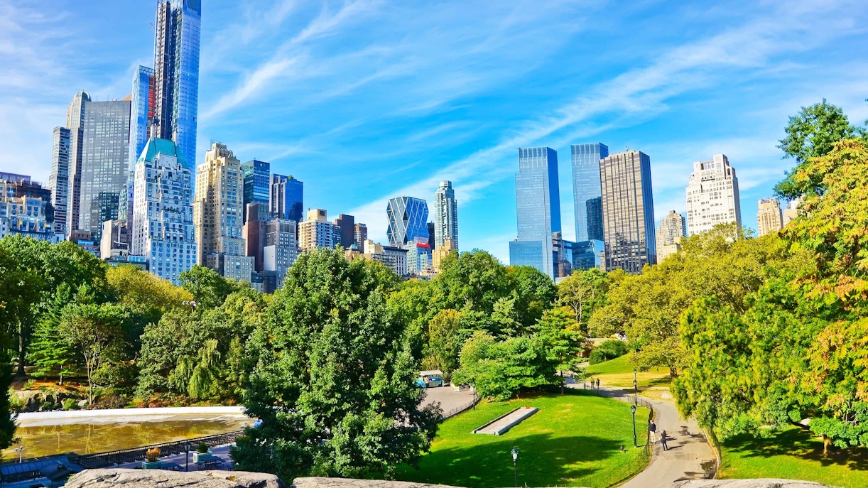Central Park with New York City skyline in the background.