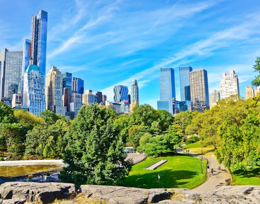 Central Park New York horse-drawn carriage ride near iconic skyline.