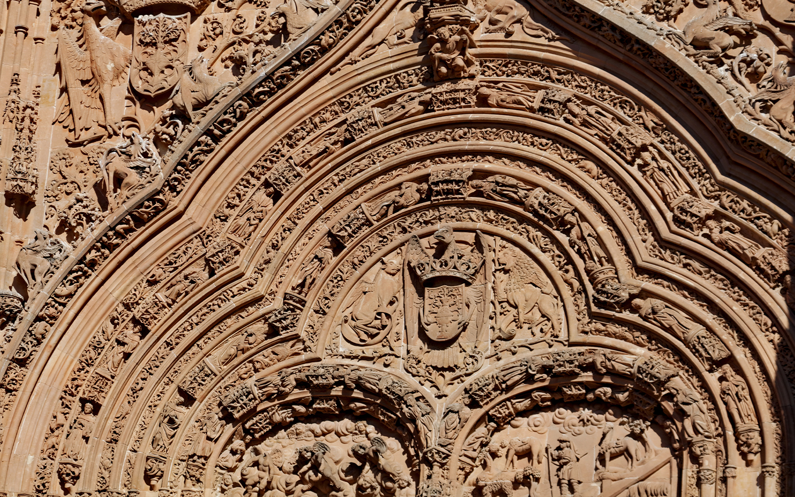 Ornate stone carvings on Salamanca Cathedral facade, Spain.