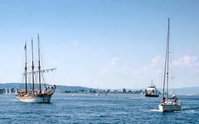Oslo Old Town Private Walking Tour With Oslofjord Cruise Tickets