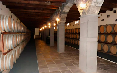 La Geria wine cellar with rows of wooden barrels in Lanzarote, Spain.