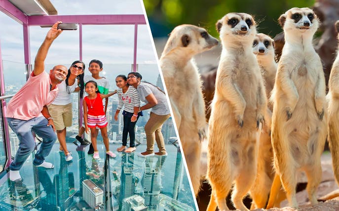 Visitors taking a selfie on KL Tower Sky Deck and meerkats at KL Tower Mini Zoo.