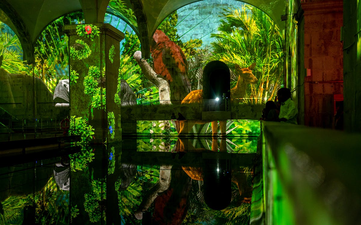 tickets to frida kahlo - an immersive biography-8 tickets to frida kahlo - an immersive biography-8