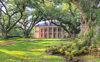 Oak Alley Plantation with oak trees lining the path, New Orleans tour.