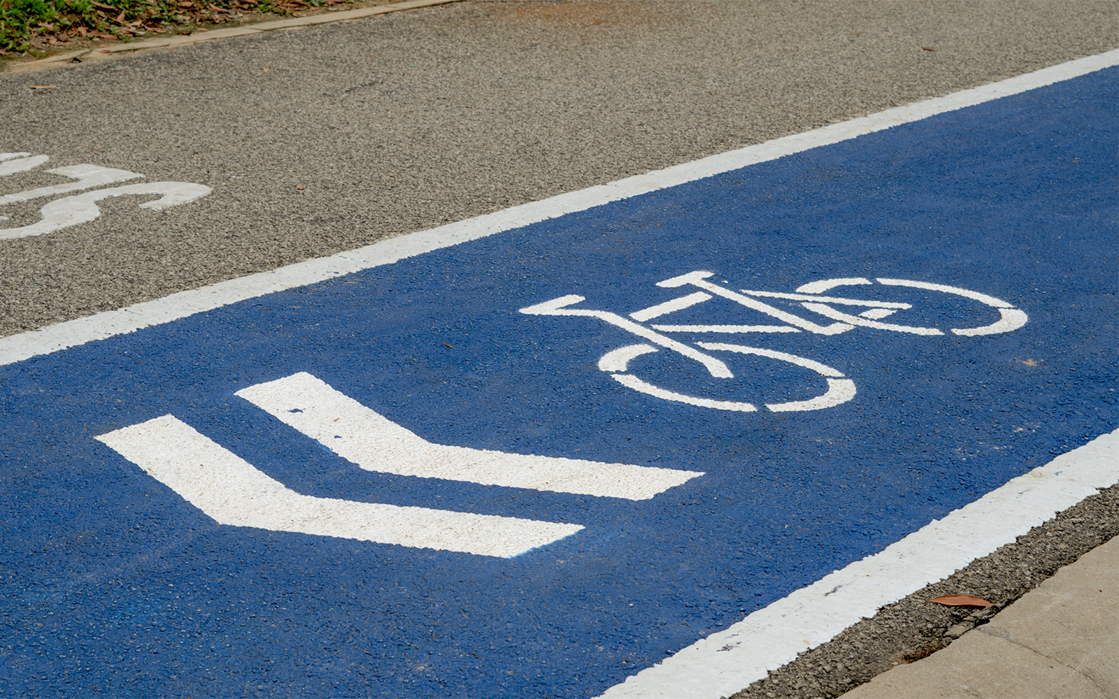 Bicycle lane marking at Payah Indah Discovery Wetlands.