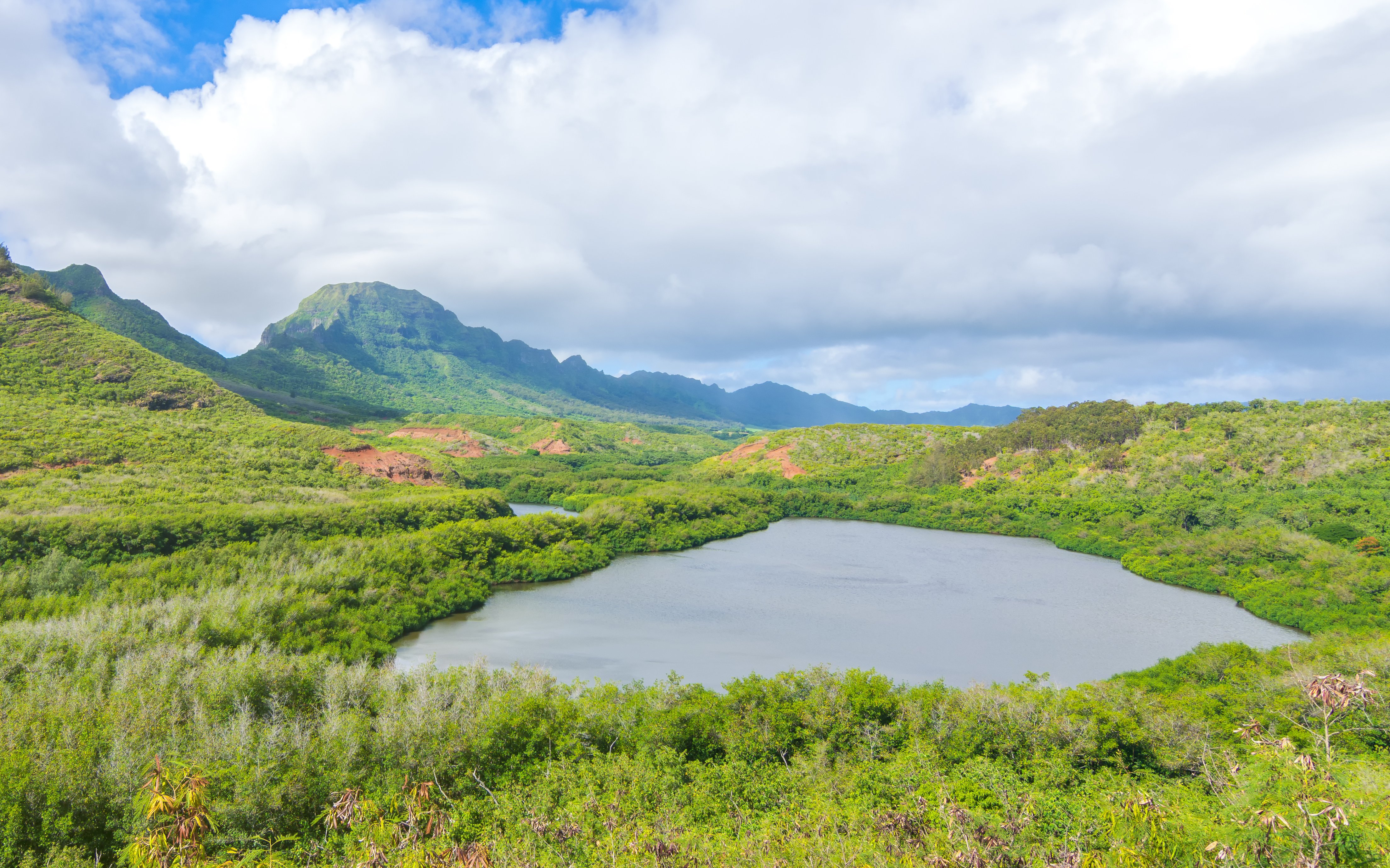 Ancient Hawaiian Fishponds