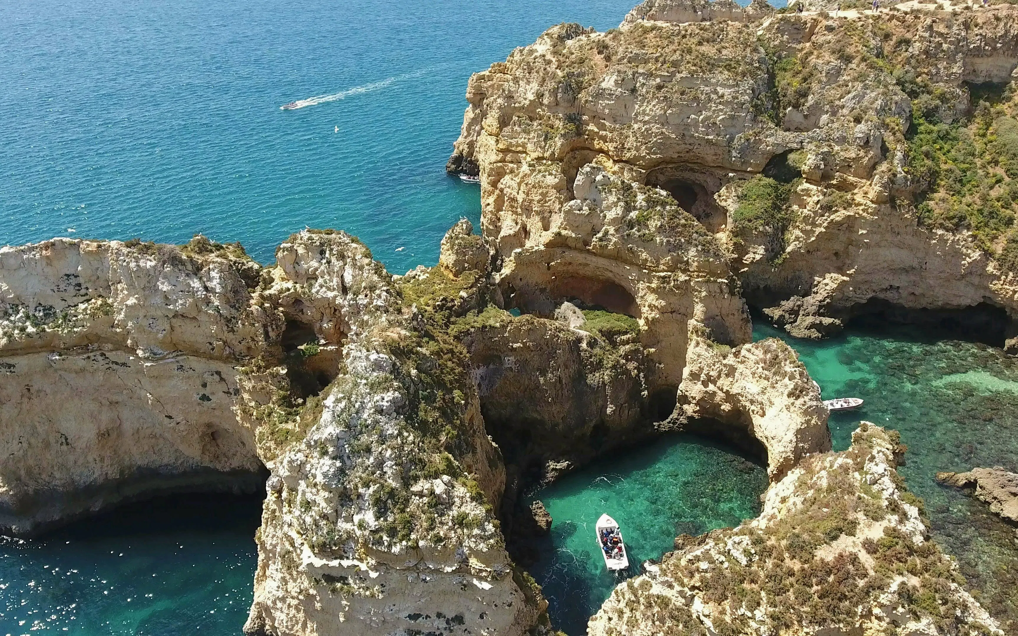 From Lagos: Ponta da Piedade Boat Tour