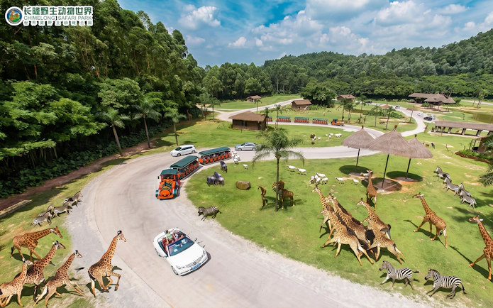 Safari vehicles and diverse wildlife at Chimelong Safari Park, China.