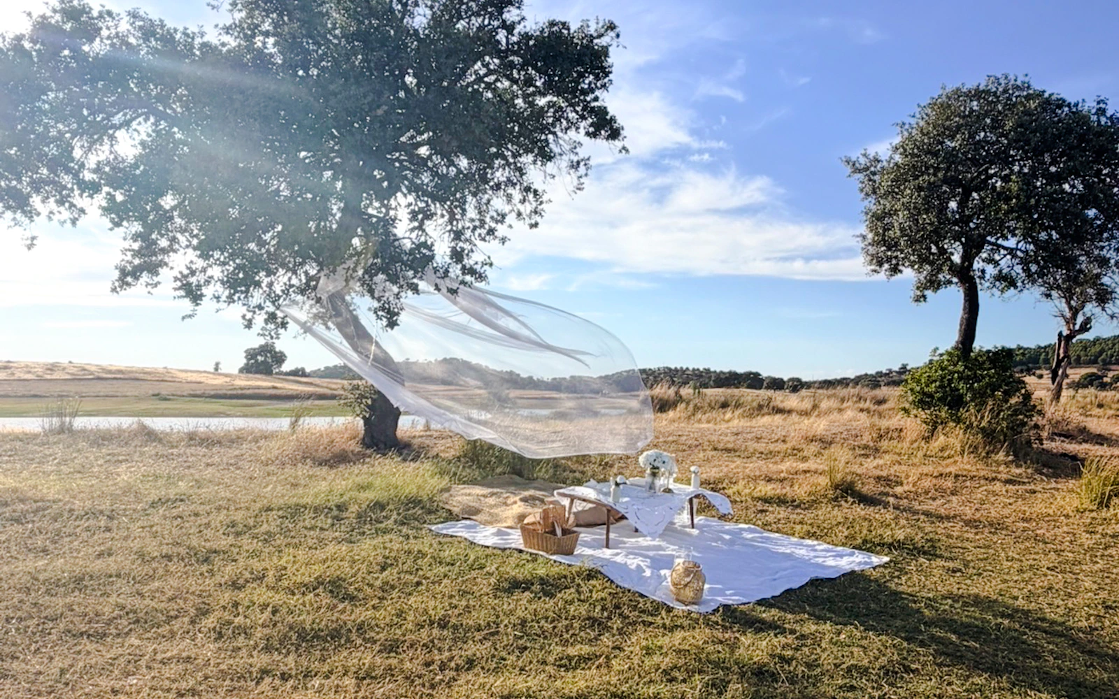 Comporta Private Beach Picnic Image 2