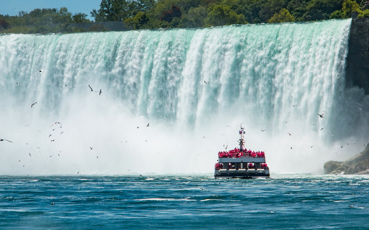 Boat approaching Niagara Falls surrounded by mist and birds.
