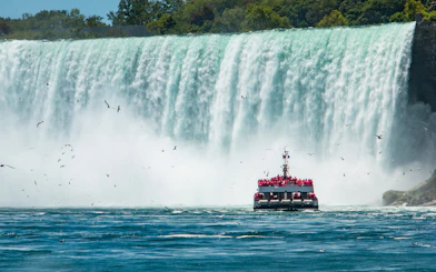 Boat approaching Niagara Falls surrounded by mist and birds.