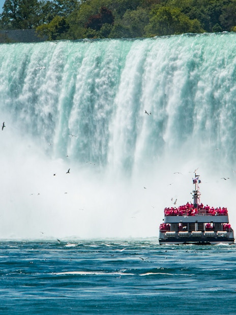 Boat approaching Niagara Falls surrounded by mist and birds.