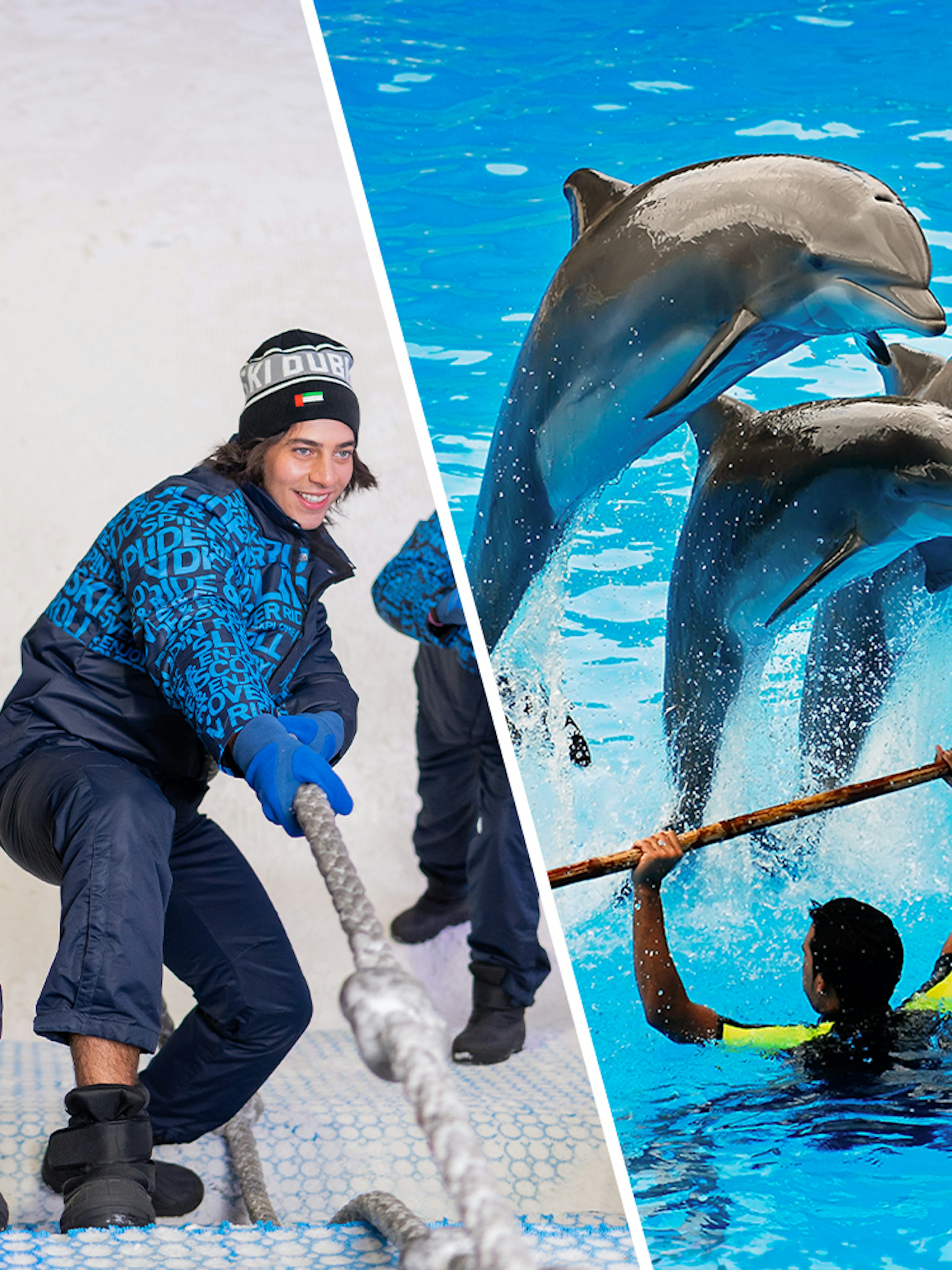 Ski Dubai visitors pulling rope and dolphins performing at Dubai Dolphinarium.