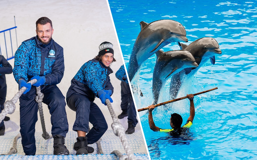 Ski Dubai visitors pulling rope and dolphins performing at Dubai Dolphinarium.