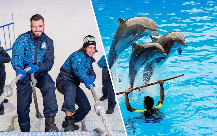 Ski Dubai visitors pulling rope and dolphins performing at Dubai Dolphinarium.