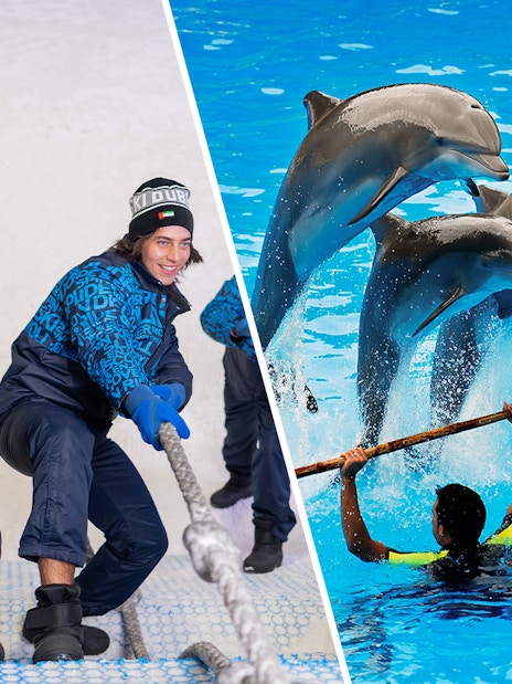 Ski Dubai visitors pulling rope and dolphins performing at Dubai Dolphinarium.